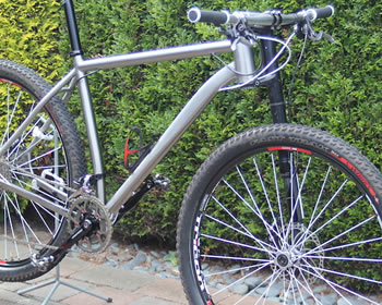 titanium fram with lefty fork